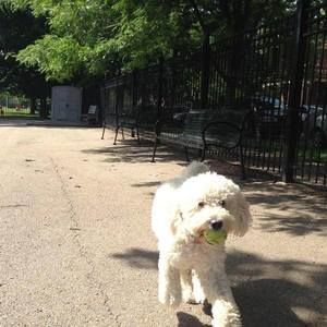 Meet your Posher, Jon